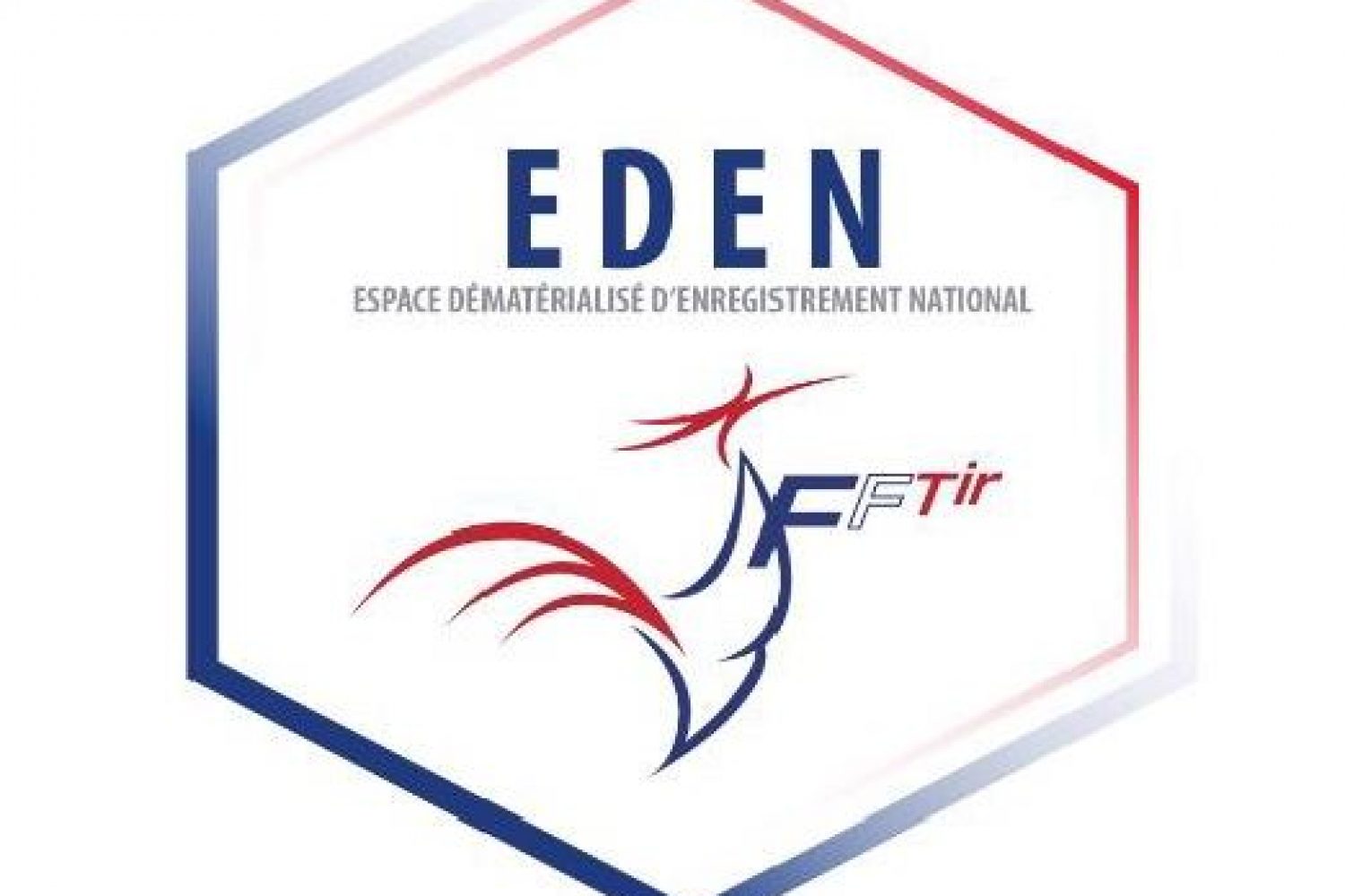 eden FFTir