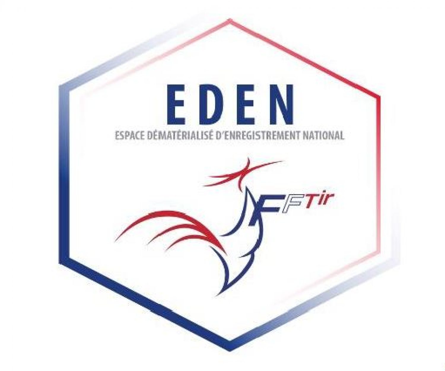 eden FFTir